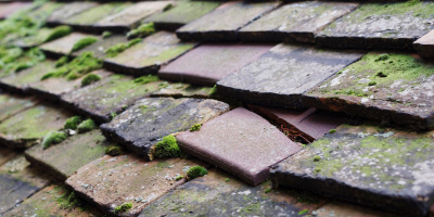 Barkham roof repair costs